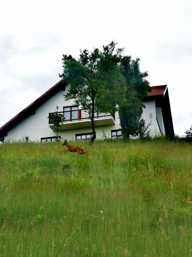 Agropensiunea Floare De Tei Carpinis  Exterior photo