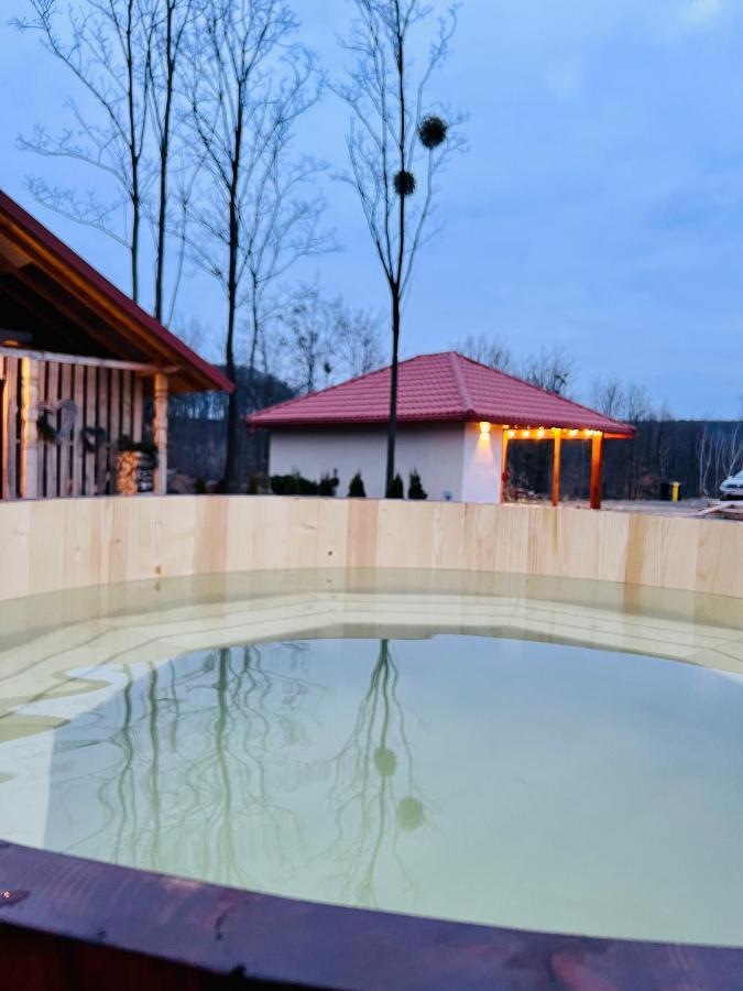 Agropensiunea Floare De Tei Carpinis  Exterior photo